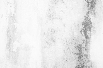 White Mould and Fungus on Plaster Wall Background.