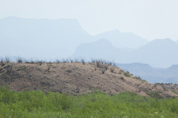 Desert Landscape