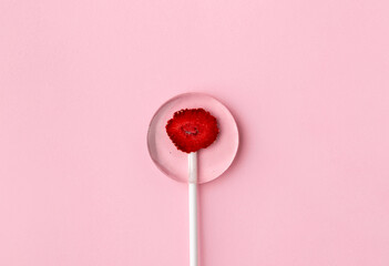 Homemade lollipop made from natural dehydrated berries on pink background