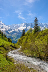 Fototapeta na wymiar Swiss landscape with creek stream