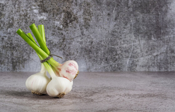 Bunch of fresh garlic on a gray background. Copy space