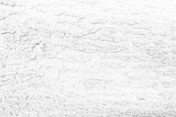 White Tree Bark Texture Background, Suitable for Presentation and Backdrop.
