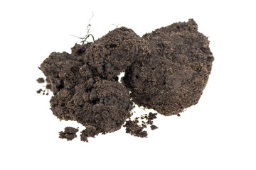 A piece of soil, dirt, soil pile on a white background, isolated.