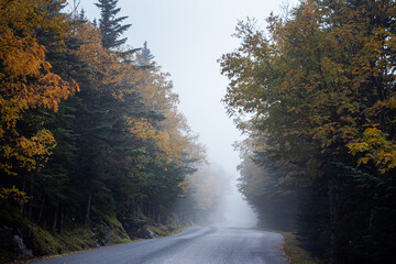 Foggy Mount Washington auto road, New Hampshire, USA