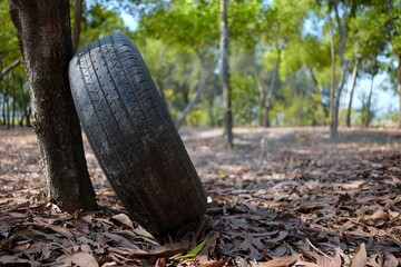 Old Car Tire Leaning on the Tree in the Park