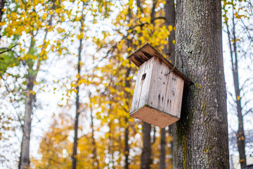 Birdhouse on the tree. Shelter for birds.