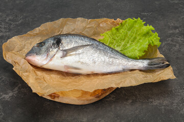 Raw Dorada fish  for cooking