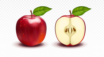 3d realistic vector transparent isolated vector set, whole and slice of red apple, shine polished apple with a leaf.