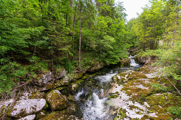 Obraz premium Schwarzenbach bei Ebensee in Oberösterreich