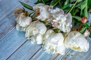 
bouquet of white fresh peonies on a blue wooden background