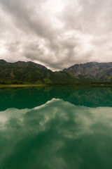 Seeufer am Offensee in Oberösterreich 