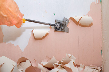 Peeling old latex paint off the wall. Using a scraper to renovate a bathroom.