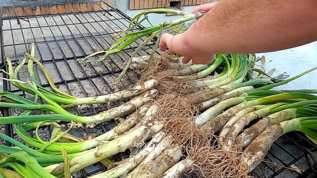 Man hands preparing food on the grill (typcal spanish/catalan onions)
