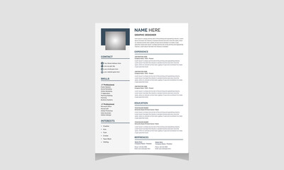 Professional resume (CV) template 