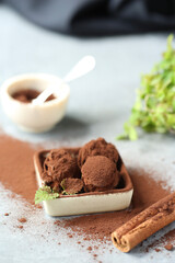 Chocolate candies, truffle on a white background.