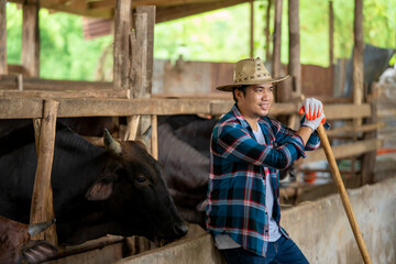 Beef cattle farmers,Farmer is working on the farm.