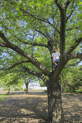 木登りをする小学生(5年生)