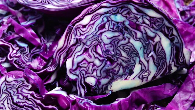 red cabbage close up