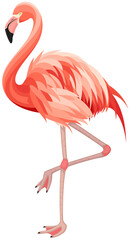 Vector illustration of a pink flamingo standing on one leg.
