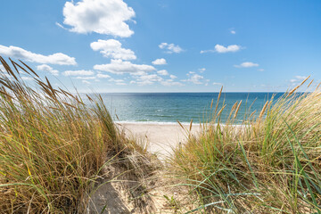Dunes beach at the North Sea - obrazy, fototapety, plakaty