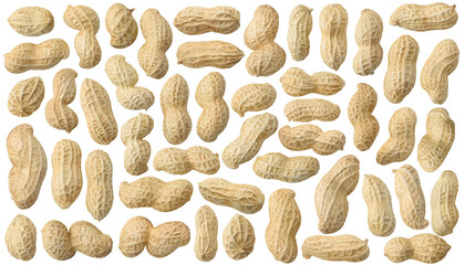 Isolated peanuts. Collection of raw peanuts in shells isolated on white background