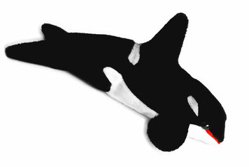 Naklejka premium Orca killer-whale plush toy