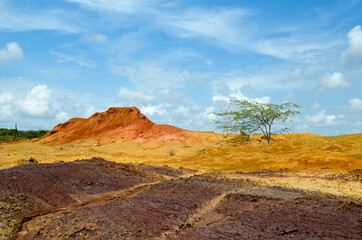 Eroded soil layers of the Sarigua National Park and a lonely tree