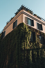 old building in florence italy wall plants