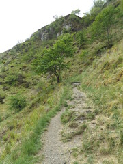 Alva Glen