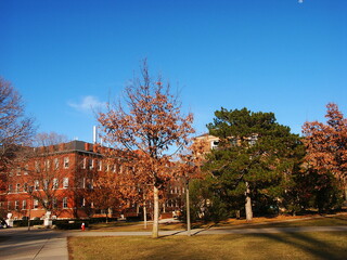 University of Illinois at Urbana Champaign campus building in winter