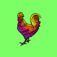 Chicken Vector Collection