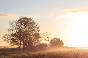 Fototapeta na wymiar Countryside summer sunrise in the morning