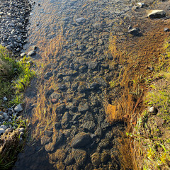 Clean water from glaciers in Iceland.
