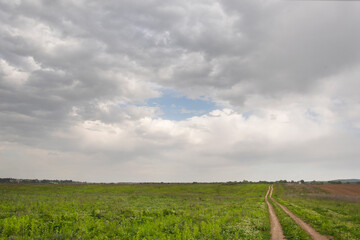Summer landscape with a view of the road and light clouds