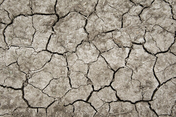 Withered land. The dry season. Land without rain