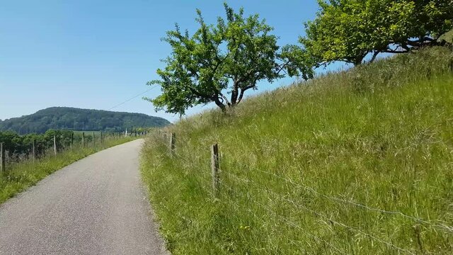 balade du dimanche au milieu des champs - Suisse