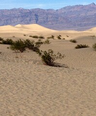 View of the desert and mountains in Death Valley near Zabriskie Point