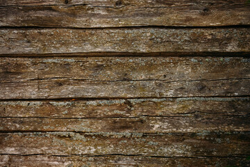 Texture old wooden wall with moss.