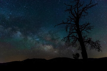 Obraz na płótnie Canvas Milky Way in Northern Arizona