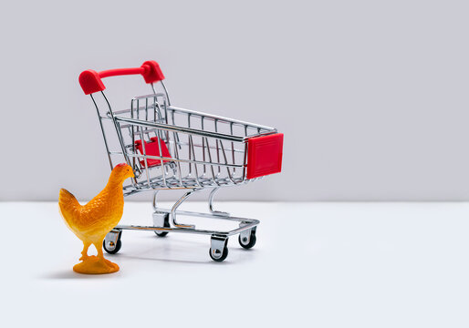 funny photo with a supermarket shopping trolley with chicken isolated on white background, close-up