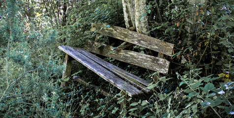 Naklejka premium back