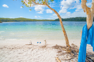 Fraser Island Lake McKenzie turquoise water surrounded by bush