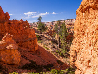 Sand and Stone Formations in Bryce Canyon National Park, Utah, USA