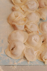 Homemade dumplings are put together on a Board in the kitchen