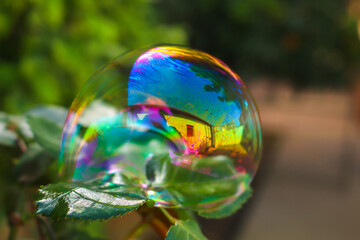 house reflected in a soap bubble supported by a leaf