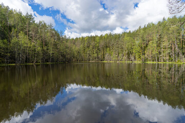View of the forest lake, the system of Blue Lakes in Belarus