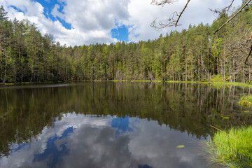 View of the forest lake, the system of Blue Lakes in Belarus