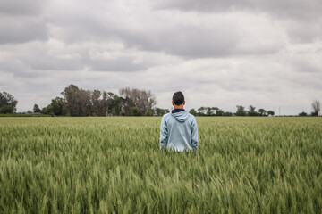 young man with his back in the middle of a wheat field