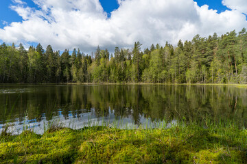 View of the forest lake, the system of Blue Lakes in Belarus