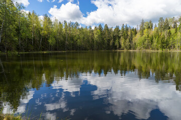 Fototapeta na wymiar View of the forest lake, the system of Blue Lakes in Belarus